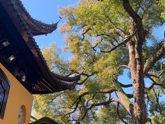 -西园戒幢律寺