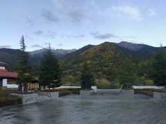 -林芝工布庄园希尔顿酒店-猎味中餐厅