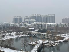 -桃花岛公园