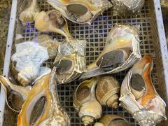 -渔家海鲜舫(宝湖路店)