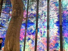 -桂满陇·海市蜃楼·黑金(国金店)