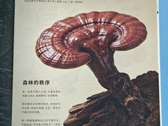 -Olé精品超市(广州太古汇店)