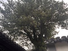 -徐霞客故居