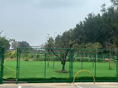 -尚庄度假村·庭台树下·户外烧烤·团建CS·轰趴营地(上庄水库店)