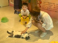 -猫咪博物馆(顶澳仔猫街店)