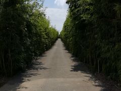 -武汉紫薇都市田园