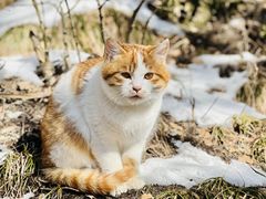 -终南山南五台景区