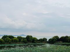 -上海市保健医疗中心