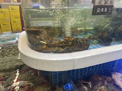 -大众海鲜(巨龙北路店)