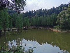 -广州市帽峰山景区