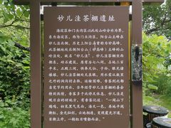 -阳台山自然风景区