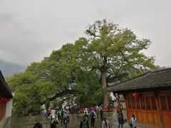 -新安江山水画廊风景区