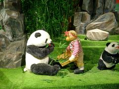 -成都泰迪熊博物馆