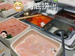 -海底捞火锅(安吉万达店)