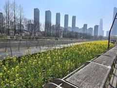 -南京眼步行桥