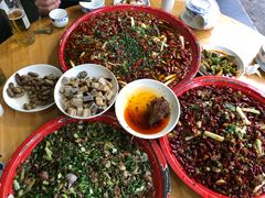 来凤鱼-东吴霸王兔(松青路店)