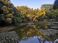 -深圳国际园林花卉博览园