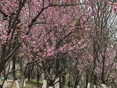-堤角公园