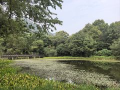 -八卦田遗址公园