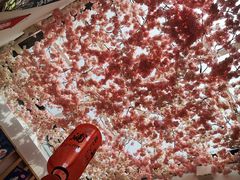 -浦·传统日式料理(3 5 1 1 店)