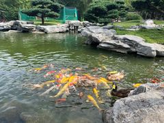 -扬州瘦西湖温泉