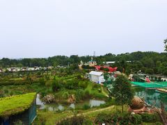 -都江堰玫瑰花溪谷