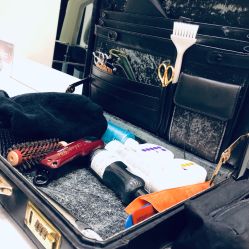 点击看大图 -IL Colpo