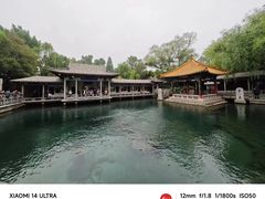 -趵突泉景区