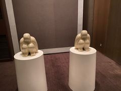 -上海柏悦酒店