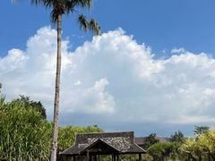 -中国科学院西双版纳热带植物园