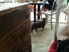 -MIKAKU(万达广场上海宝山店)