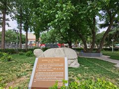 -兴隆文化园景区-兖州博物馆