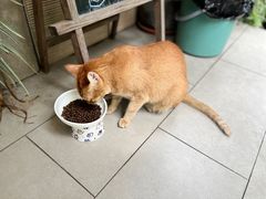 -默迹咖啡馆