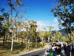 -牛岗山公园