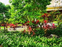 -三亚亚龙湾天域度假酒店