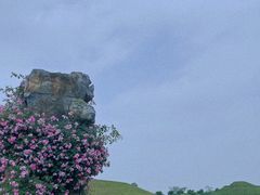 -南通洲际绿博园