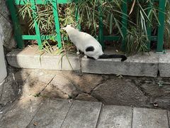 -乌山风景区