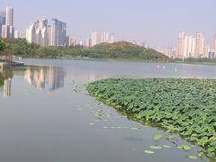 -月湖风景区