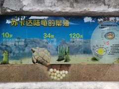 -广州长隆飞鸟乐园