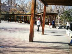 -庄怡公园