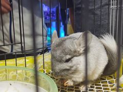 -鸿通城购物中心