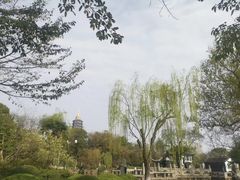 -红梅公园