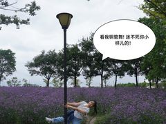 -比斯特上海购物村精品奥特莱斯