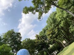 -南翔镇银翔湖公园