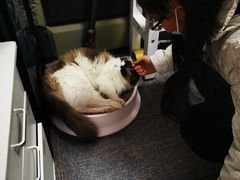 -零纪元VR体验馆·桌游(黄浦店)