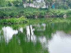 -水绘园
