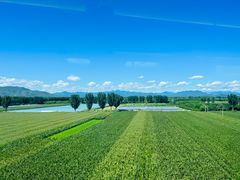 -塞罕坝国家级自然保护区