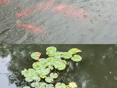 -丝绸小镇荻港古村