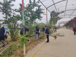 -窦王岭景区游乐场