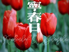 -大宁公园